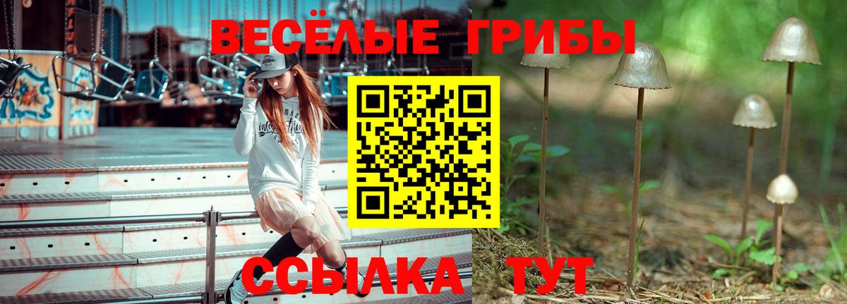 Галлюциногенные грибы GOLDEN TEACHER  Вход с VPN  Вышний Волочёк 